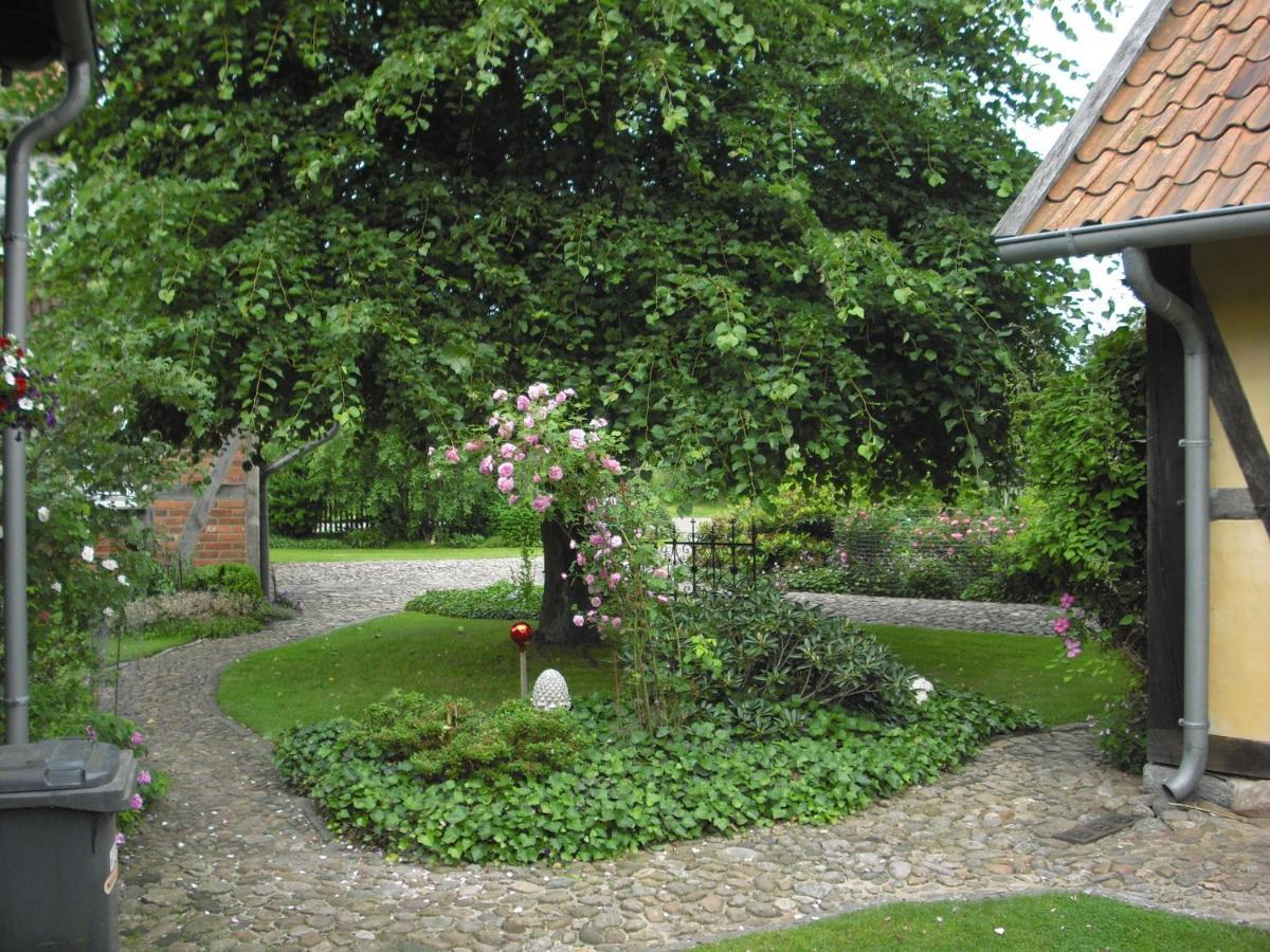Landhaus Kiesow Suderburg Extérieur photo