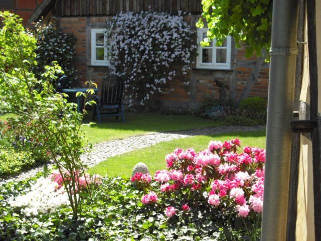 Landhaus Kiesow Suderburg Extérieur photo