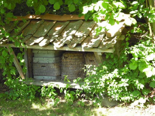Landhaus Kiesow Suderburg Extérieur photo